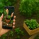 how ai will shape gardening trends through viral video forecasts