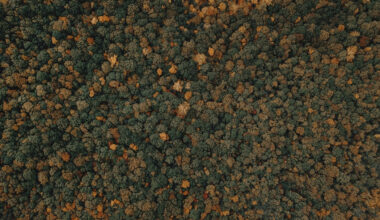 the benefits of greensand iron filters for water treatment