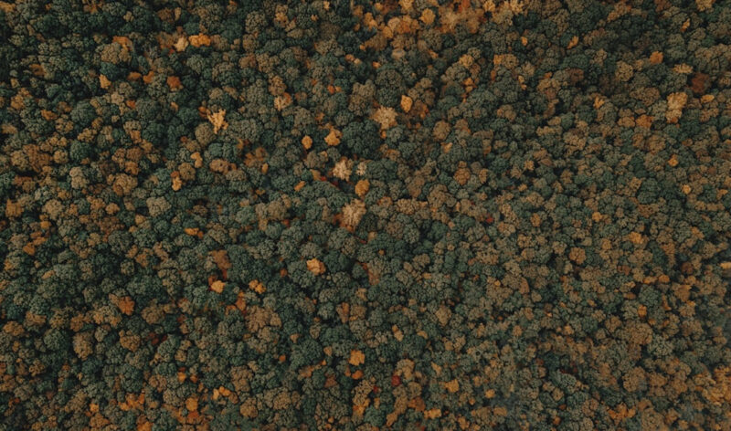 the benefits of greensand iron filters for water treatment