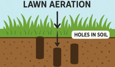 why lawn aeration is essential for stronger, greener grass