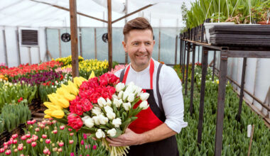 a florists guide to choosing the right wholesale partner