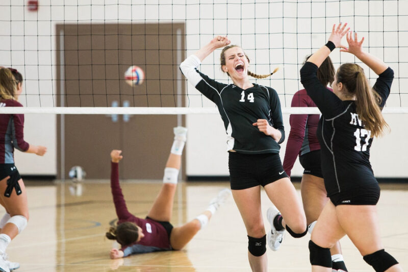 ways to turn your passion for sports into a professional career