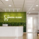 biophilic design in dental marketing
