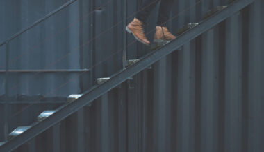 climbing the algorithm ladder influencer insights and smm tools that drive real growth