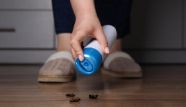 simple prevention tips pest free