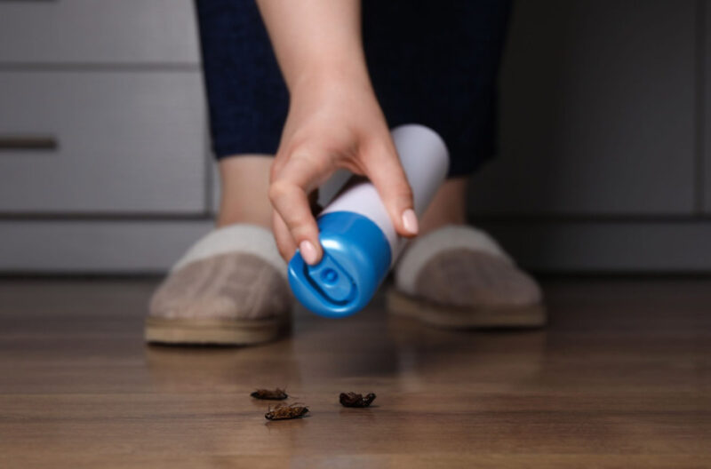 simple prevention tips pest free