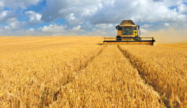 stronger harvests in tough seasons