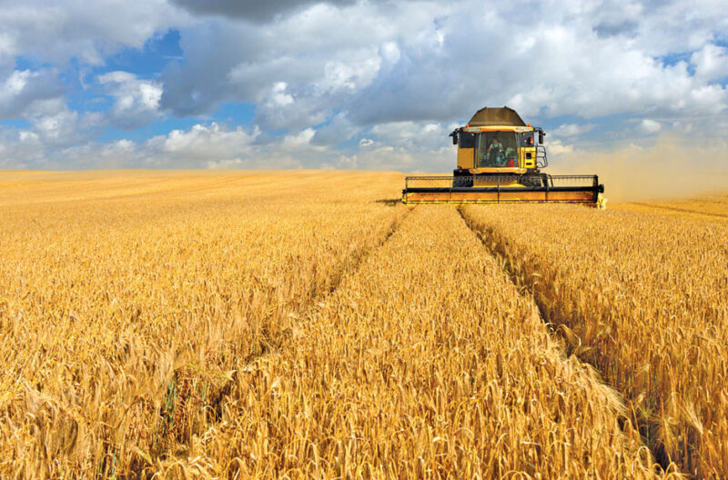 stronger harvests in tough seasons