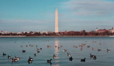 what makes a vacation feel truly restful and unrushed