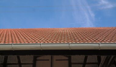 2 crucial pointers your brisbane plumber wants you to know about gutter maintenance
