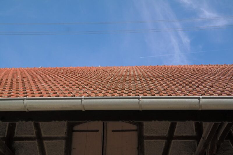 2 crucial pointers your brisbane plumber wants you to know about gutter maintenance