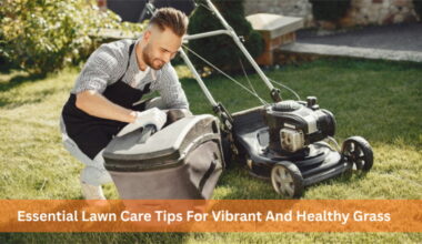 essential lawn care tips for vibrant and healthy grass 1
