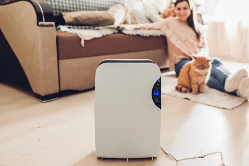 how dehumidifiers improve comfort in miami