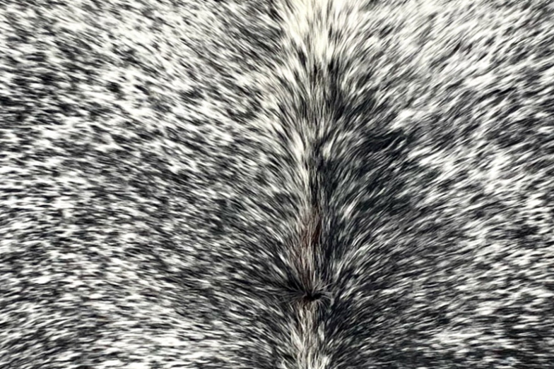 how genuine cowhide leather elevates home decor styles 4