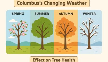 how seasonal weather in columbus, oh impacts tree health