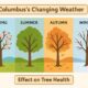 how seasonal weather in columbus, oh impacts tree health