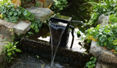 how waterfall features shape healthier and more inviting outdoor spaces
