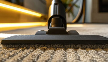 the benefits of professional carpet cleaning services