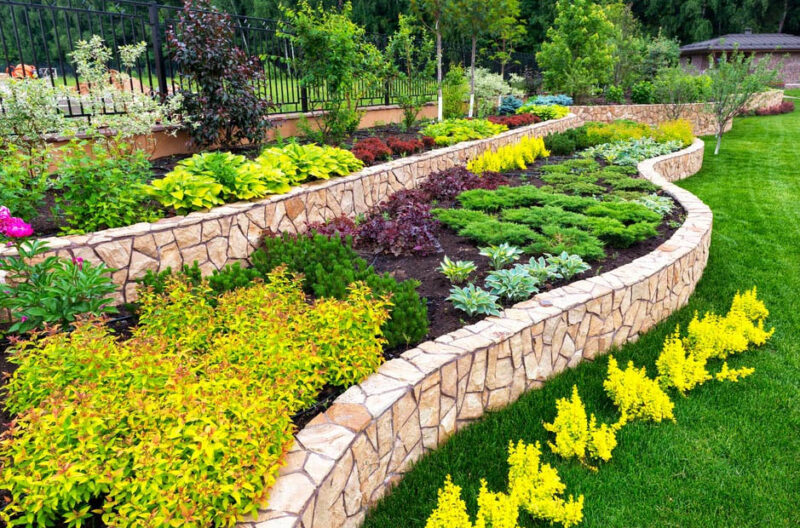 the ultimate guide to choosing the right plants for your landscape