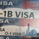 l 1 visa vs h 1b