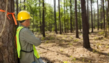 what are flagging tapes and why are they used on job sites