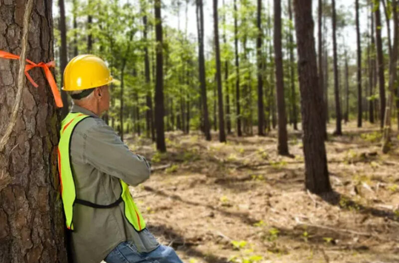 what are flagging tapes and why are they used on job sites