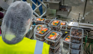 why temperature control has become a make or break issue for food businesses